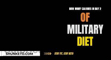 Calorie Counting: Military Diet's Day 2 Breakdown