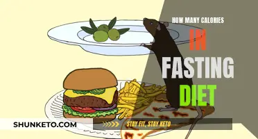 Fasting Diet Calories: Counting Every Single One