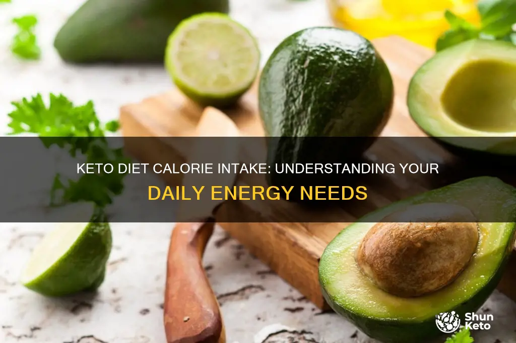 how many calories keto diet