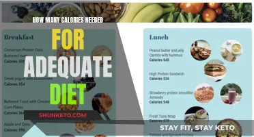 Calorie Counting: Adequate Diet and Nutrition Requirements