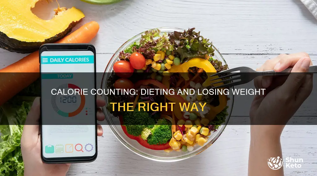 how many calories on a diet