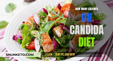 Calorie Counting on the Candida Diet: A Guide to Healthy Eating