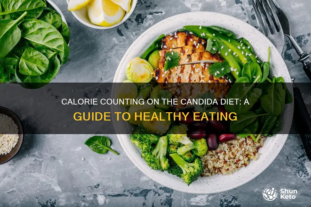 how many calories on candida diet