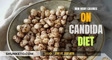 Calorie Counting on the Candida Diet: What You Need to Know