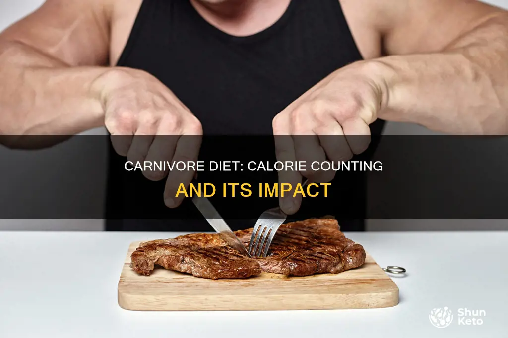 how many calories on carnivore diet