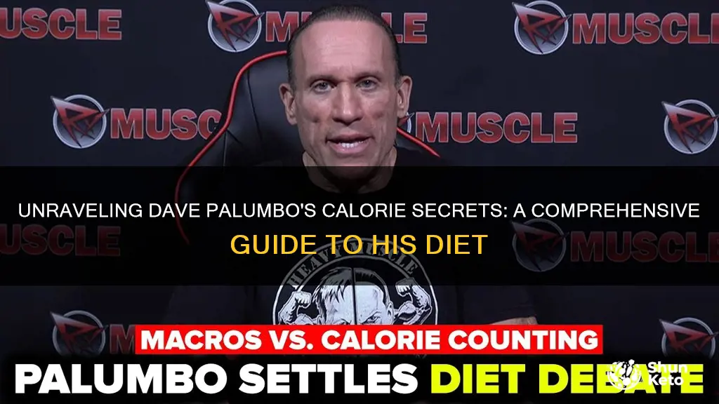 how many calories on dave palumbo diet