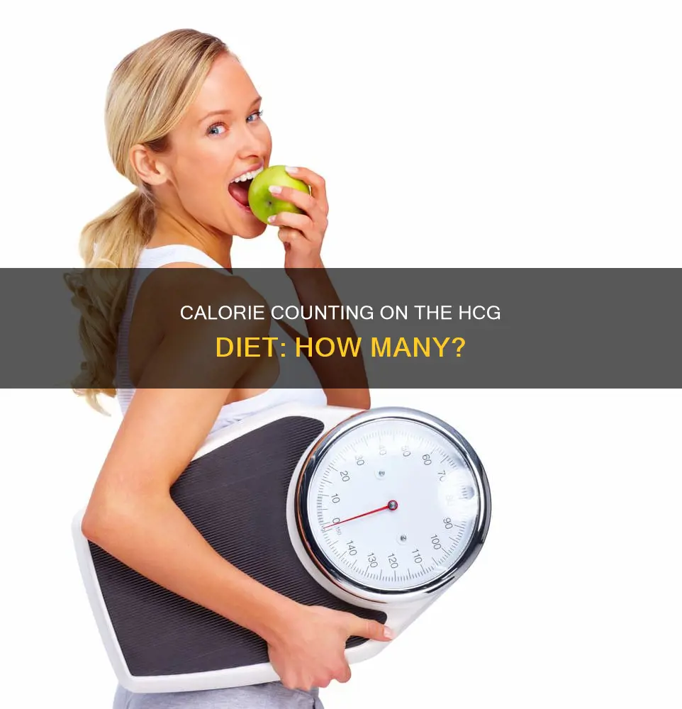 how many calories on hcg diet