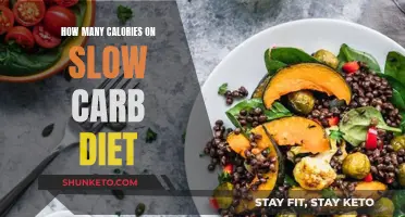 Calorie Counting on the Slow Carb Diet