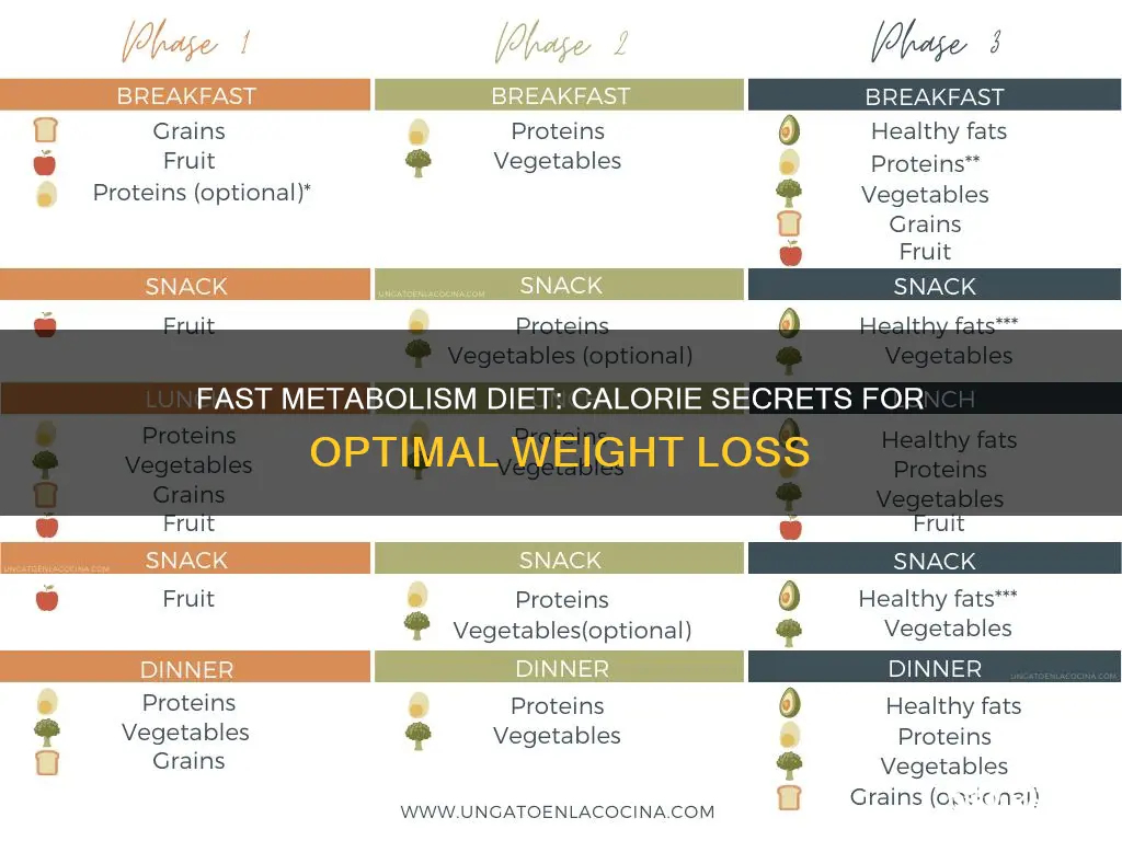 how many calories on the fast metabolism diet