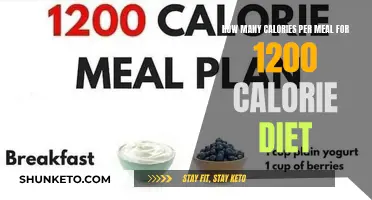 Calorie Control: Optimizing Your 1200-Calorie Diet Plan