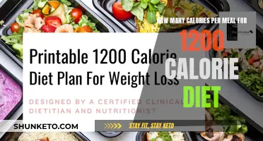 Calorie Counting: 1200-Calorie Diet Meal Plan Explained
