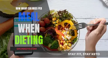 Calorie Counting: How to Distribute Your Daily Intake