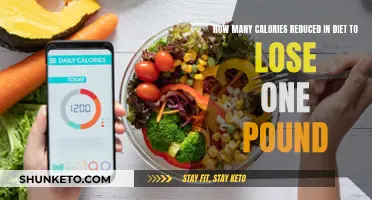 Calorie Counting: Losing Weight, Tracking Diet