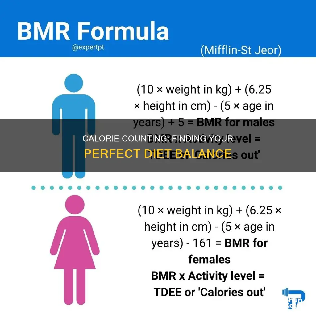 how many calories shluld my diet be