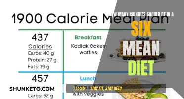 Calorie Count: Balancing Your Six-Meal Diet