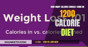 Calorie Burn: Finding Balance on a 1200-Calorie Diet