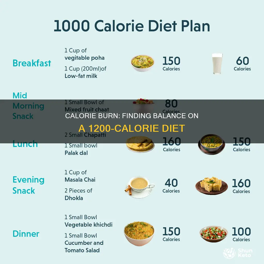 how many calories should i burn on 1200 calorie diet