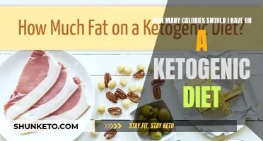 Calorie Counting on a Ketogenic Diet: How Much?
