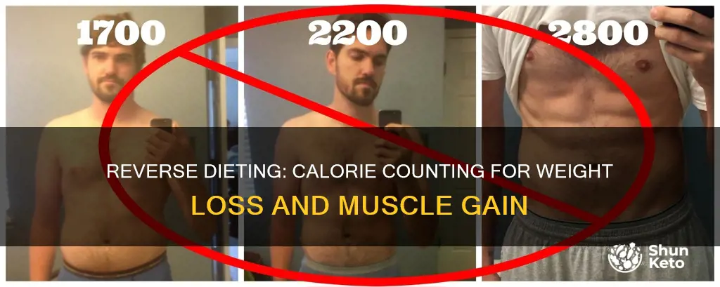 how many calories should you add when reverse dieting