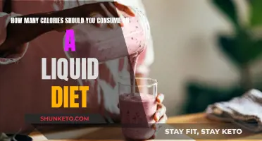 Calorie Counting on a Liquid Diet: The Ultimate Guide