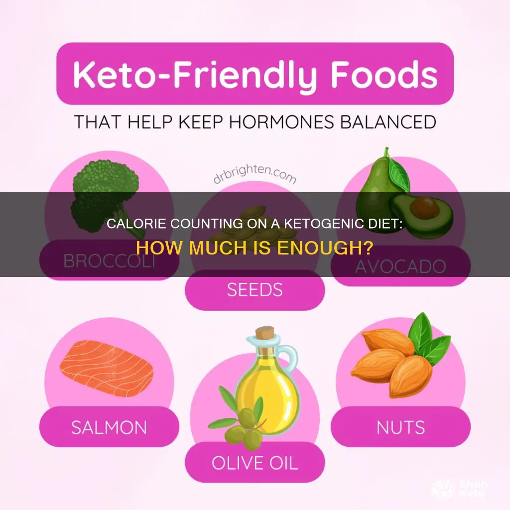 how many calories should you have ith ketogenic diet