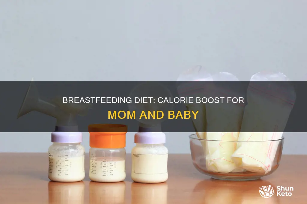 how many calories to add to diet when breastfeeding