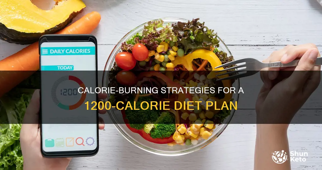 how many calories to burn on a 1200 calorie diet