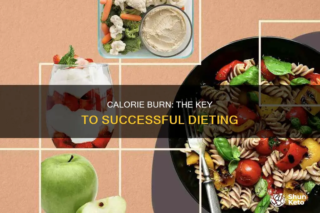 how many calories to burn when dieting