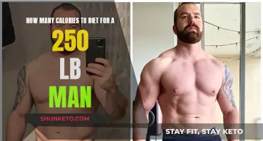 Diet Calorie Counting: A 250-lb Man's Guide