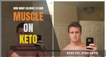 Keto Muscle Gain: Calorie Counting for Maximum Results