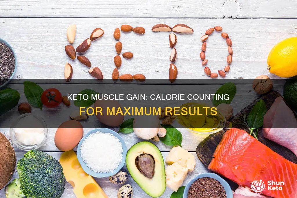 how many calories to gain muscle on keto