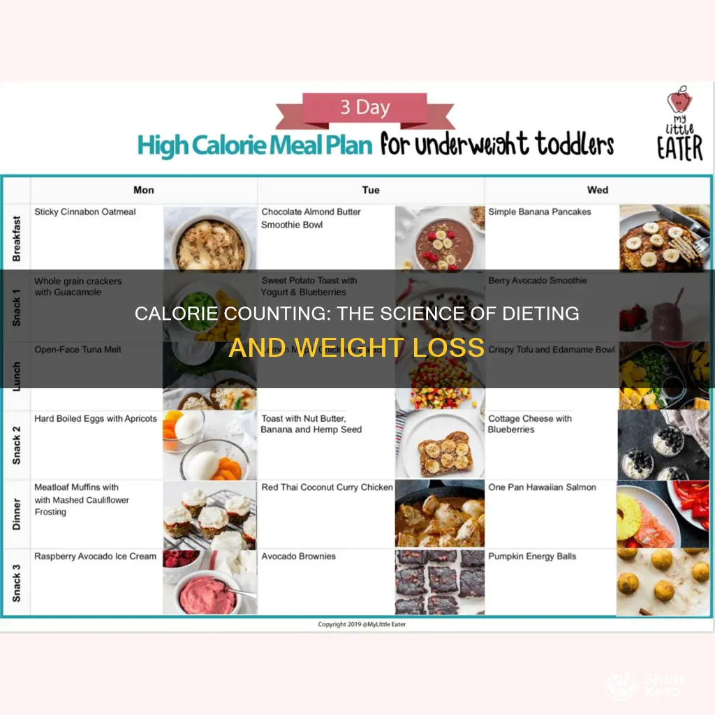 how many calories to have while on a diet