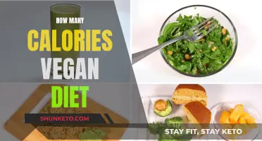 Vegan Diet Calories: What's the Count?