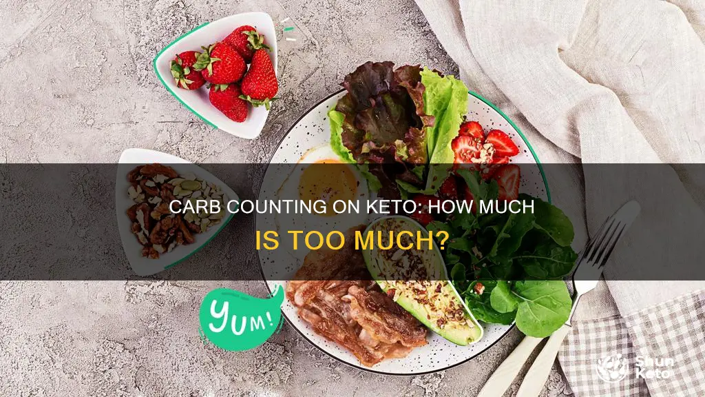 how many carb intake on keto