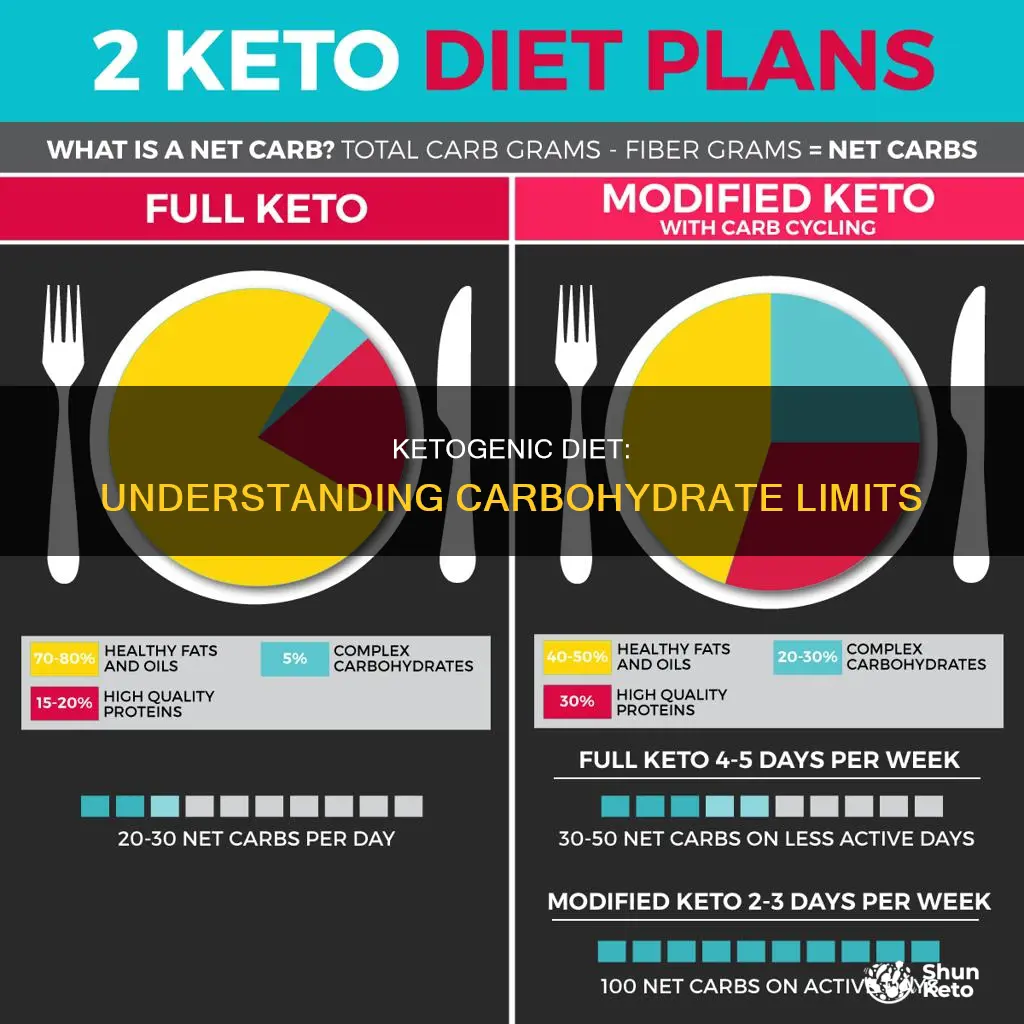 how many carbohydrates in a ketogenic diet