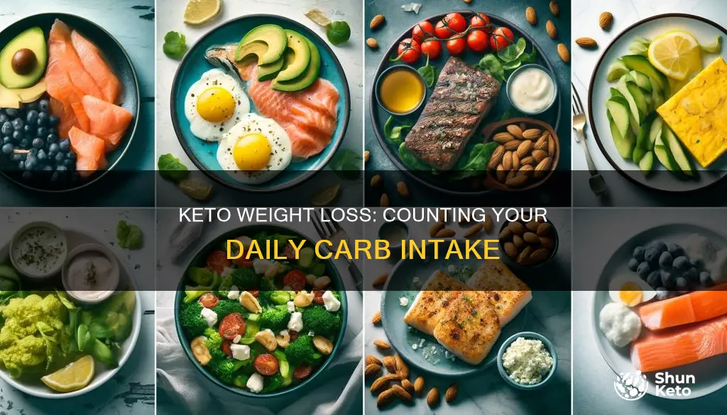 how many carbs a day for keto weight loss