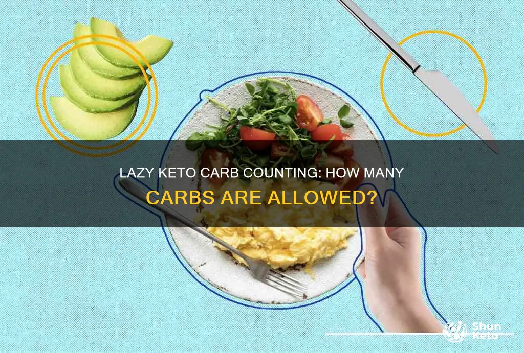 how many carbs a day for lazy keto