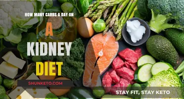 Carbs and Kidney Diets: Counting Daily Intake