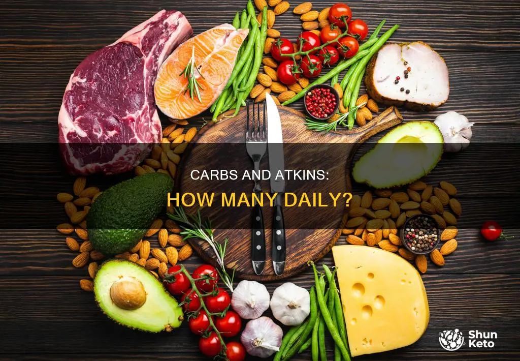 how many carbs a day on atkins diet