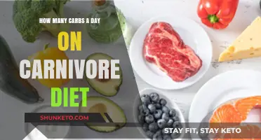 Carnivore Diet: Understanding Your Daily Carb Intake
