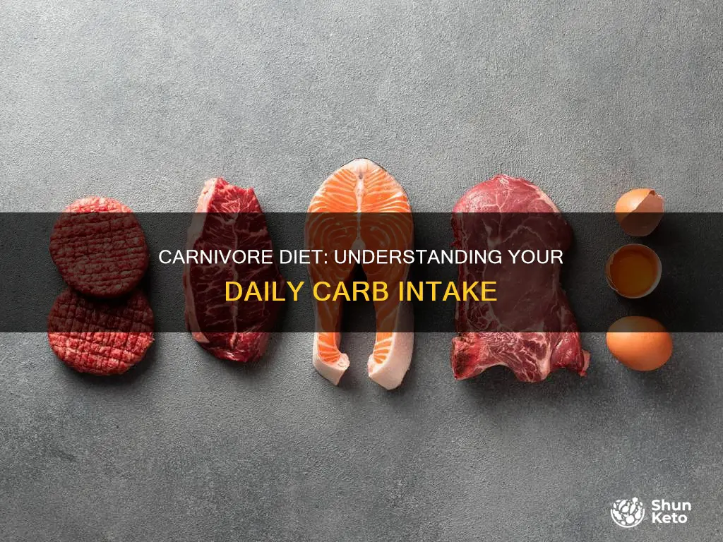 how many carbs a day on carnivore diet