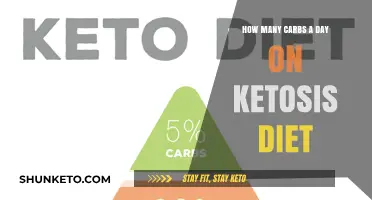 Carbs and Ketosis: How Many Carbs Per Day?