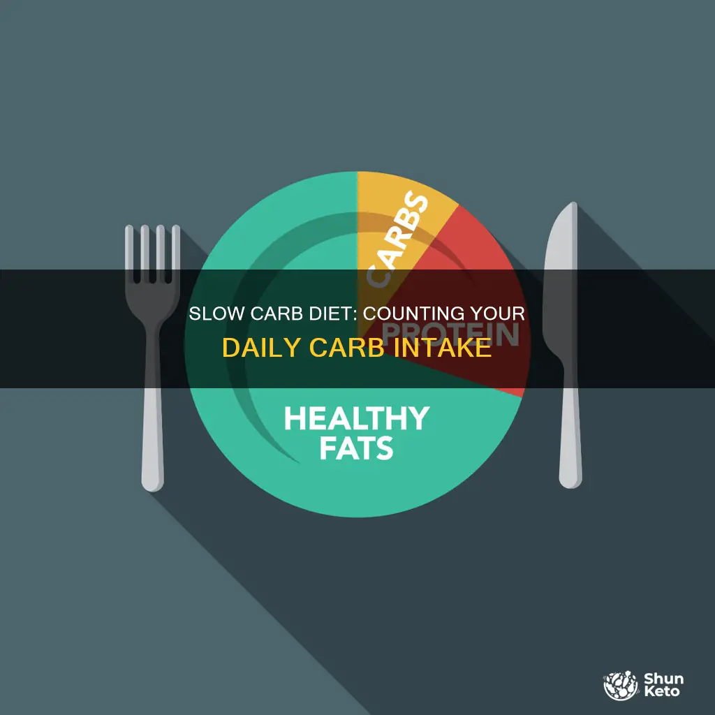 how many carbs a day on slow carb diet