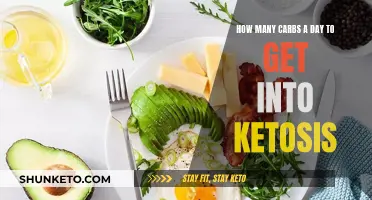 Carb Counting: Ketosis and Daily Intake Requirements