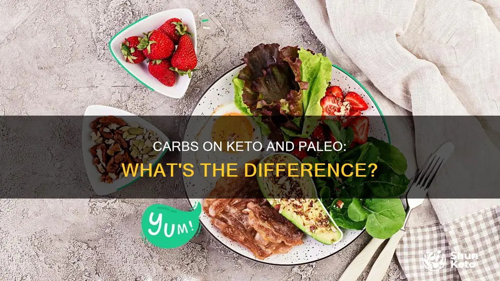 how many carbs allowed on keto vice paleo