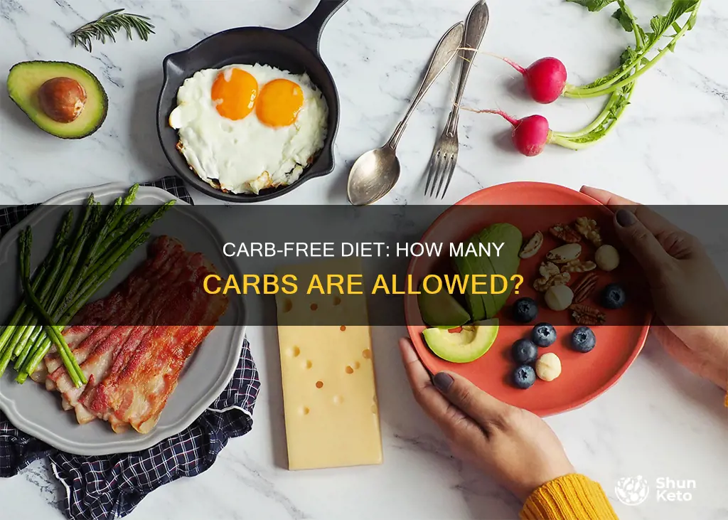 how many carbs allowed on no carb diet