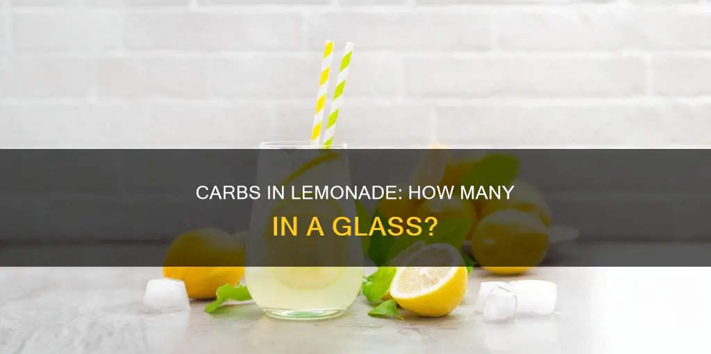how many carbs are in a serving of diet lemonade