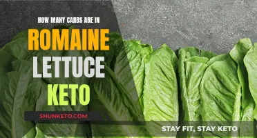 Romaine Lettuce and Keto: Carb Counts and Nutrition Facts