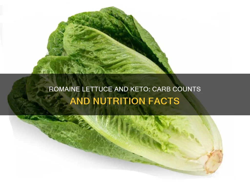 how many carbs are in romaine lettuce keto