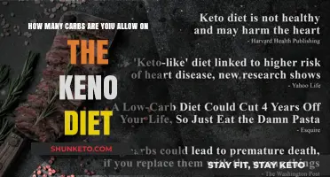 Carb Counting: Keno Diet's Carb Allowance Explained